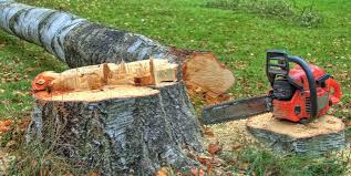Best Utility Line Clearance  in Mount Vernon, NY